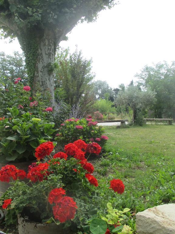 Villa Mas Le Nathakassou Cabannes Exterior foto